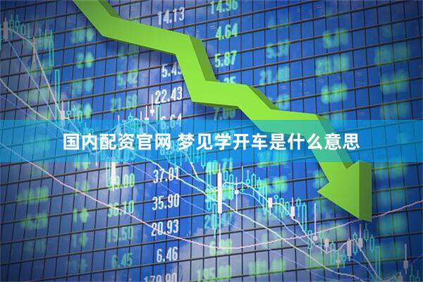 国内配资官网 梦见学开车是什么意思