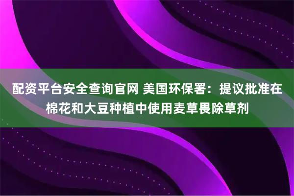 配资平台安全查询官网 美国环保署:提议批准在棉花和大豆种植中使用麦草畏除草剂